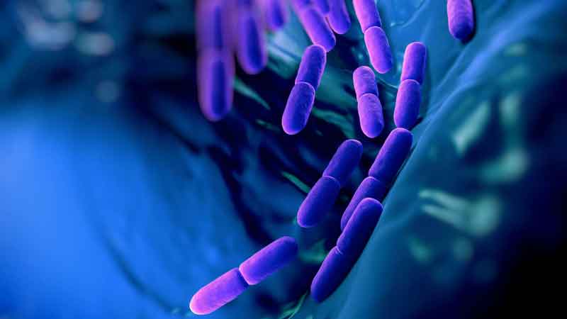 Ambulatorio delle malattie digestive:un approccio integrato tra modulazione del sistema immunitario e microbiota intestinale.